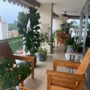 El Cangrejo